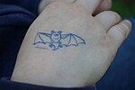 Logo Fledermausnacht