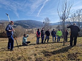 Banner Modul 9 - Ausbildung Streuobstwiesenberater: Planung und Pflanzung einer Streuobstwiese